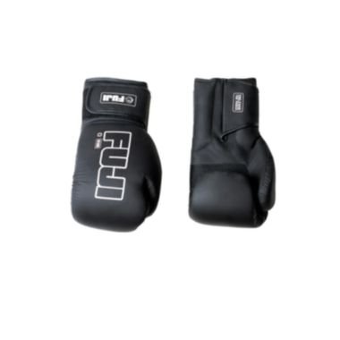 FUJI Baseline Boxing Gloves