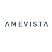 Amevista IT