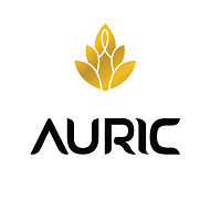 Auric IN