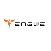 Engwe EU