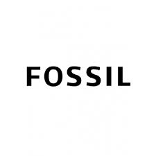 Fossil AU