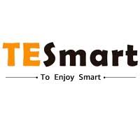 TESmart