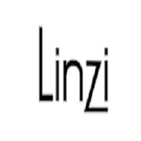Linzi SA