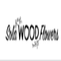 Sola Wood Flowers