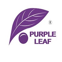 Purple Leaf