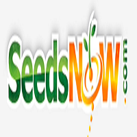SeedsNow
